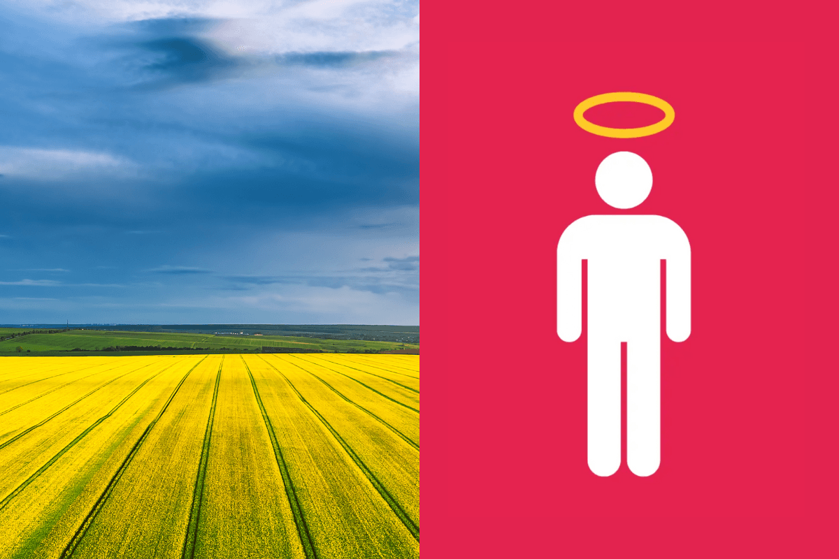 Top 2 Agtech Angel Investors In The UK (2026)