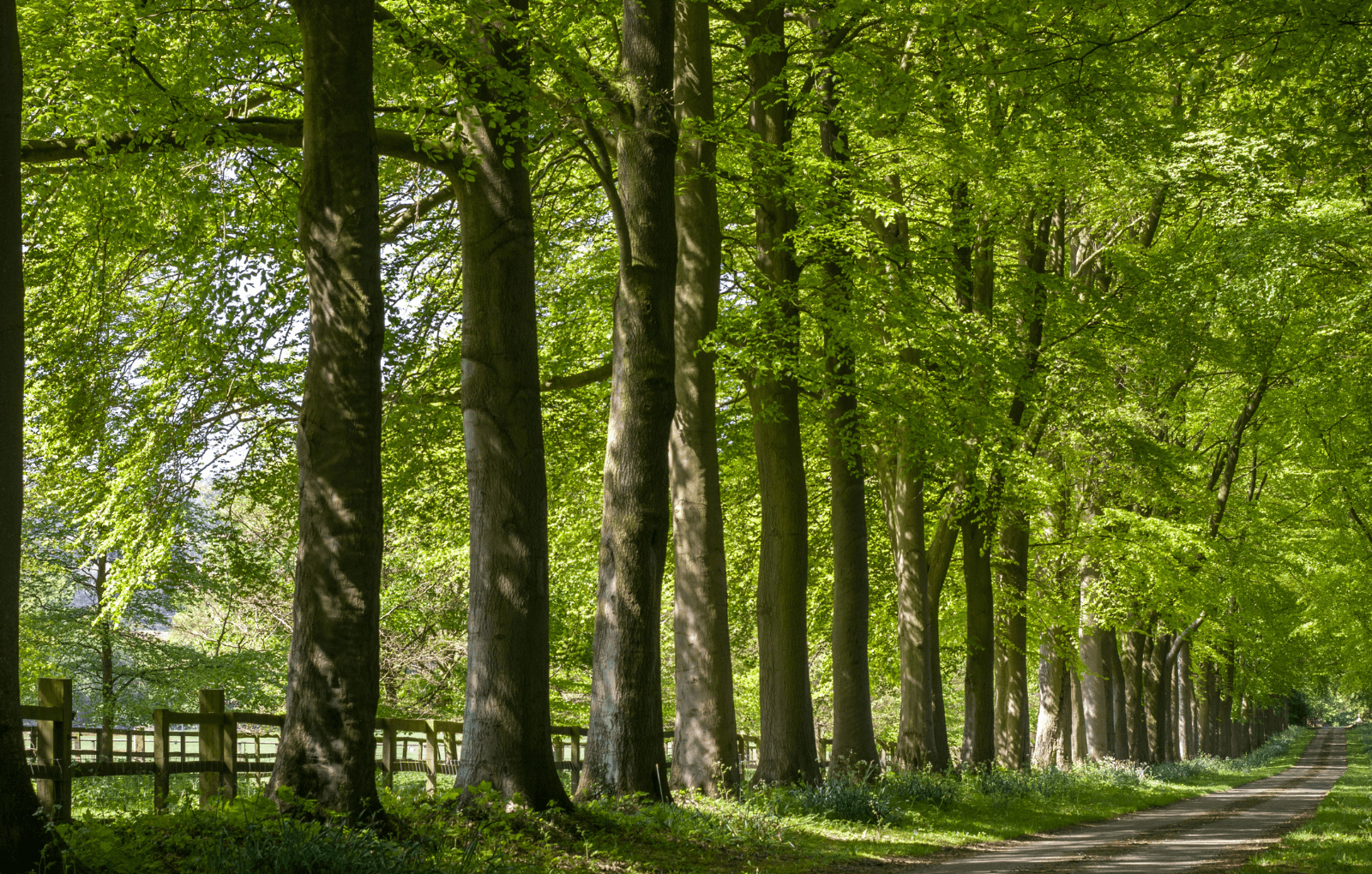 Coworking Spaces in High Wycombe, Bucks