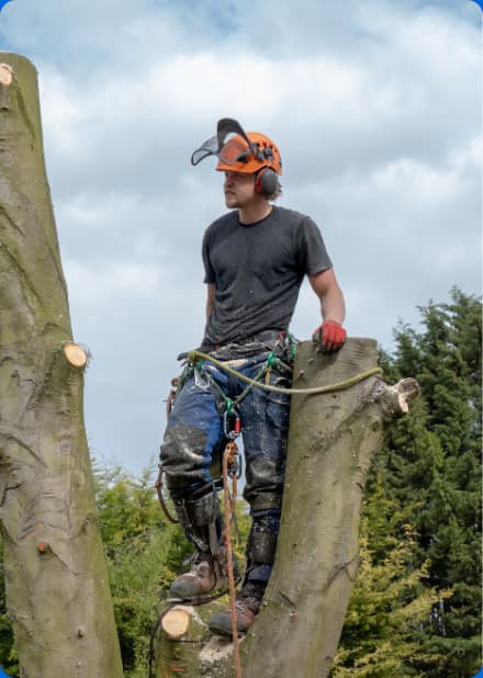 who is course for: option4