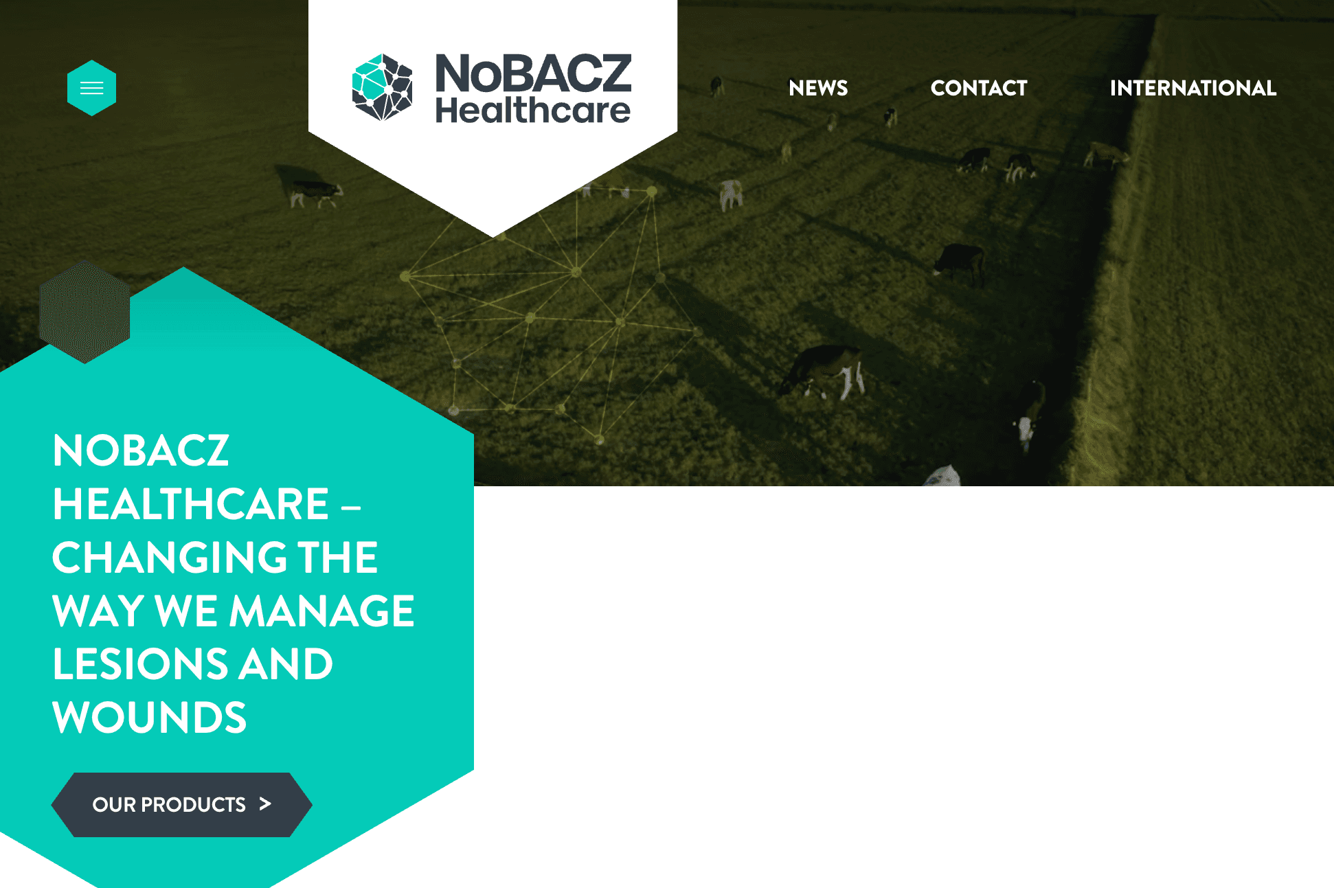 Healthtech NoBACZ lands £4.8m led by The Yield Lab with Adjuvo