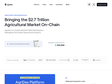 AfriDex web-3 startup