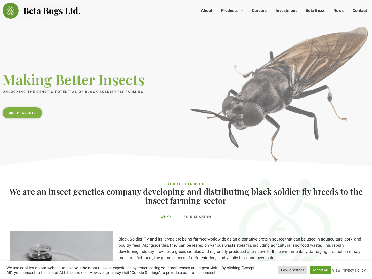 Beta Bugs Secures Funding to Expand Insect Protein Production
