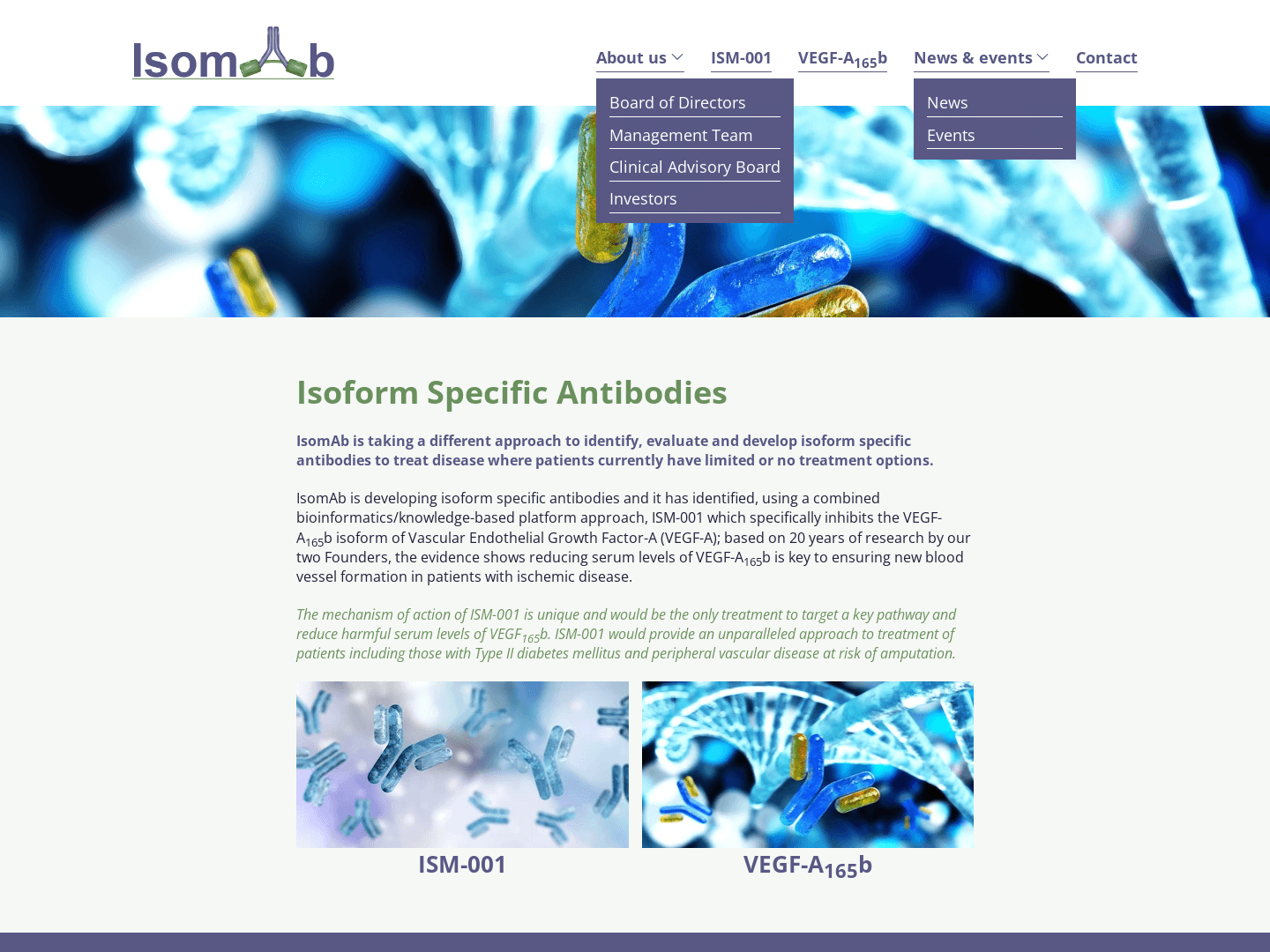 IsomAb Raises £7.5 Million for PAD Treatment Development