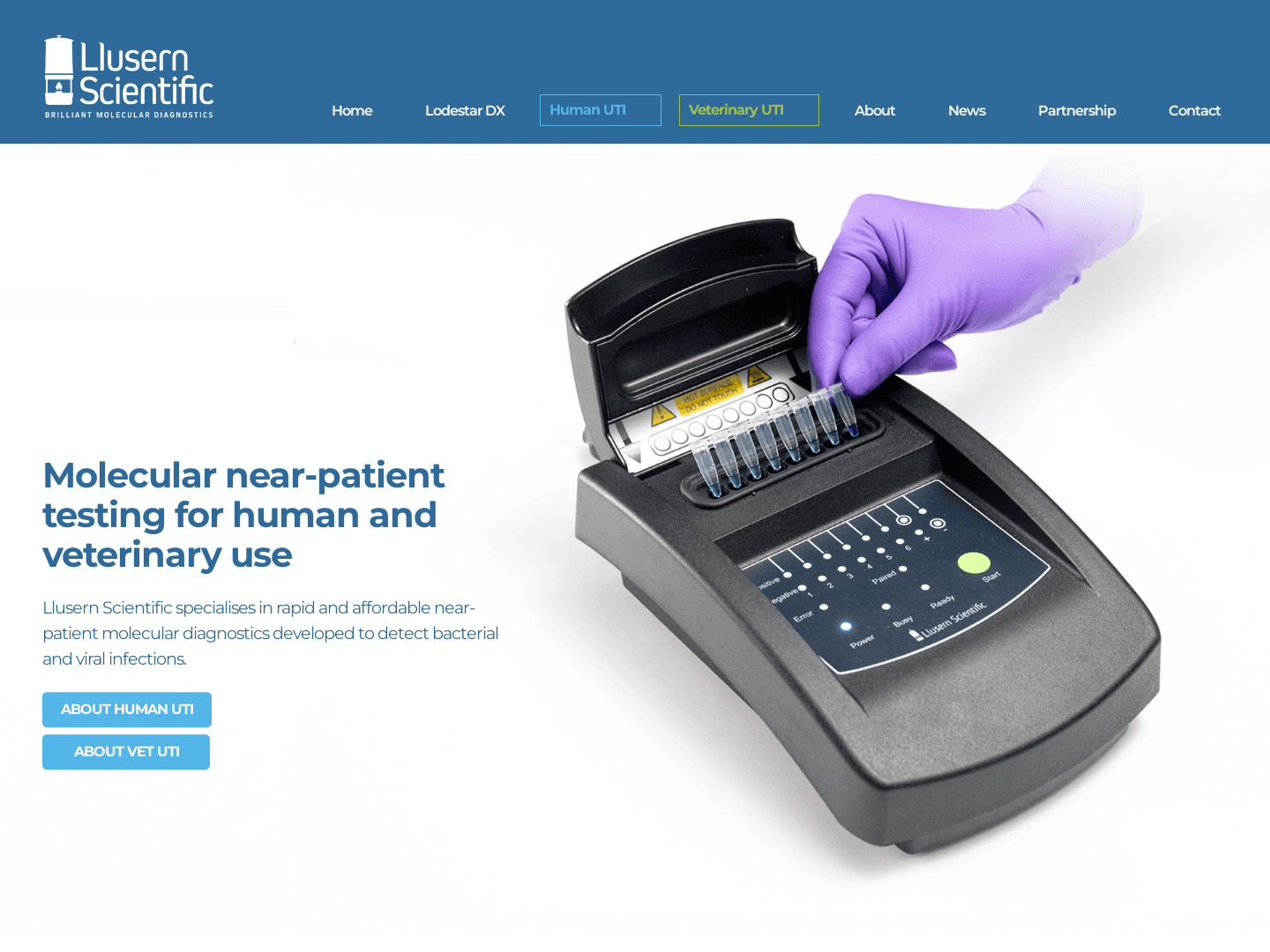 "Wales Bank Invests in Innovative Technology Startups"