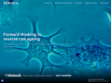 Senisca online-shopping startup