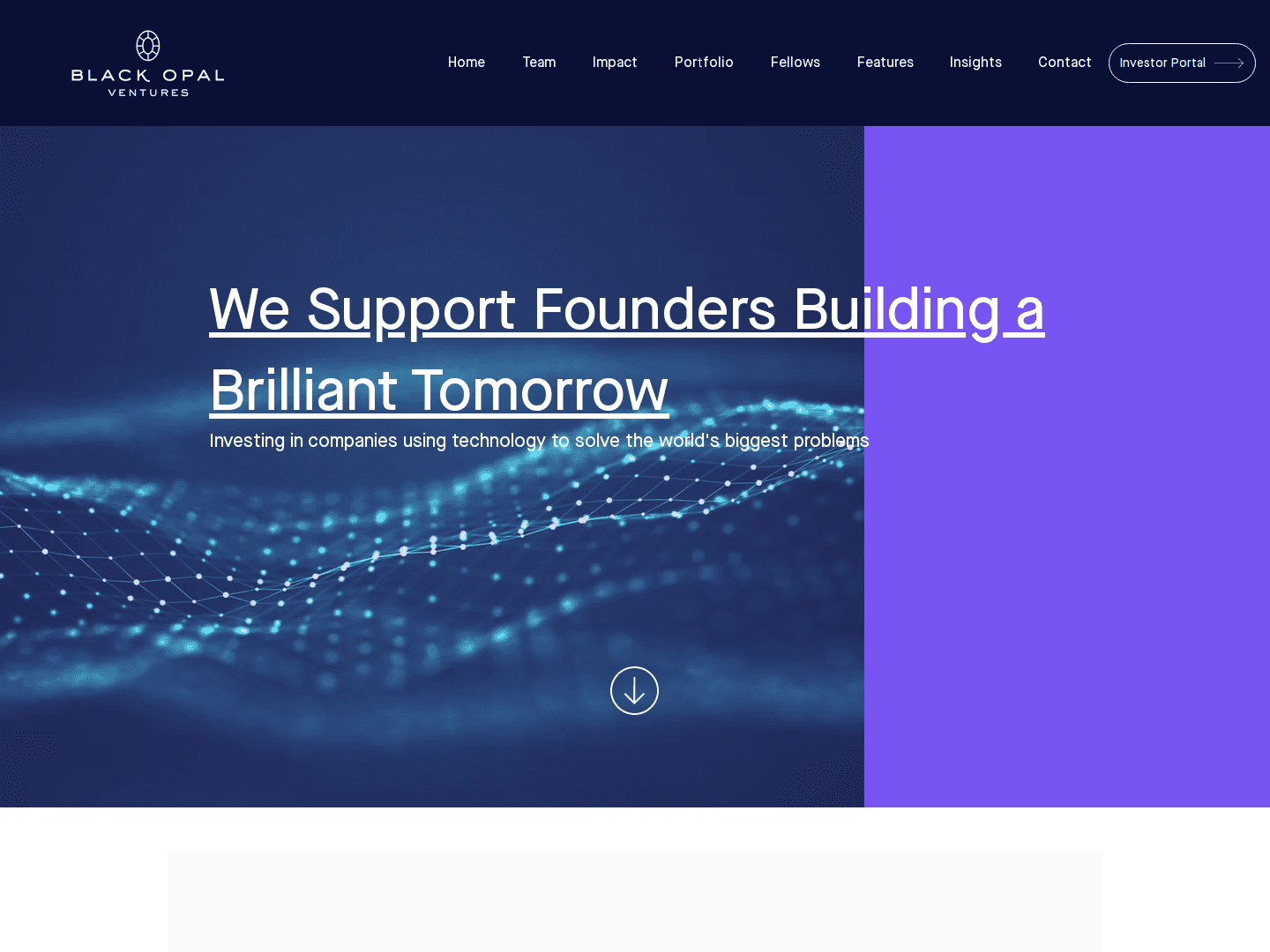 Black Opal Ventures