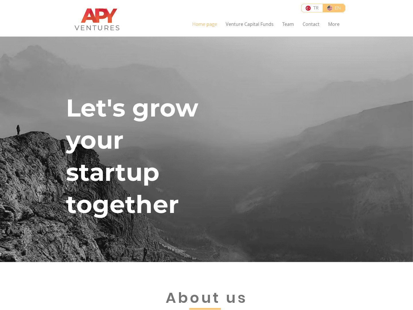 APY Ventures