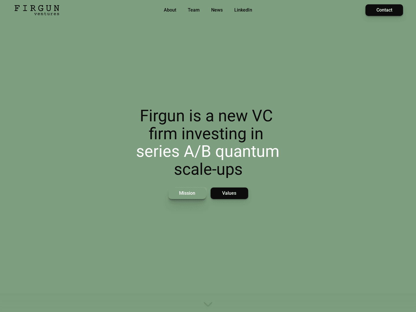 Firgun Ventures