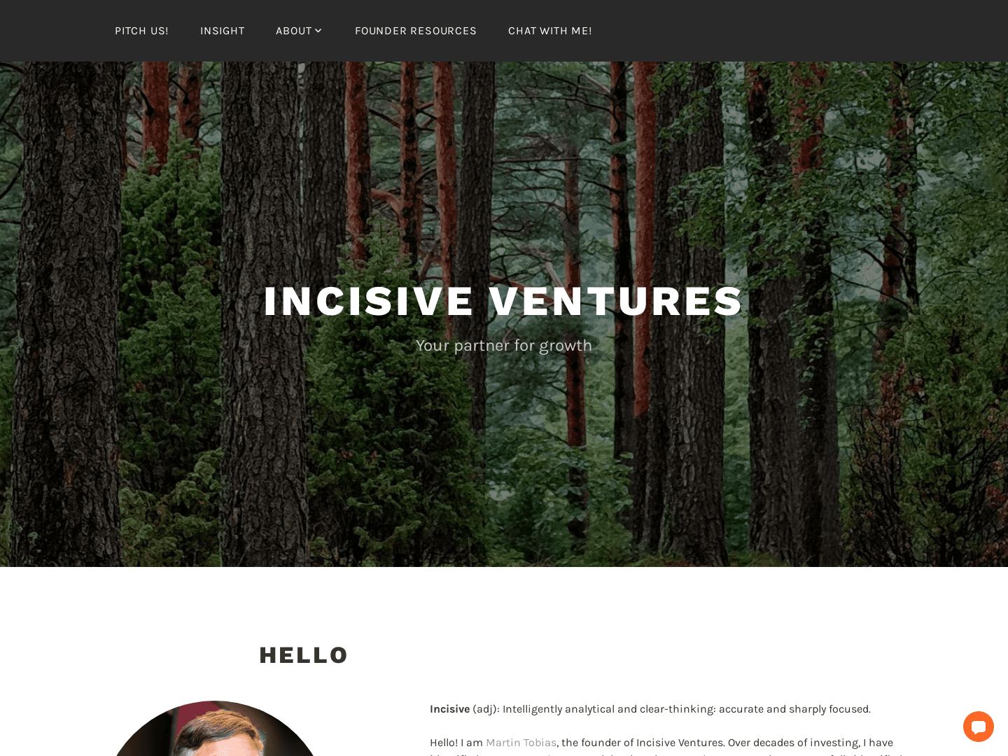 Incisive Ventures