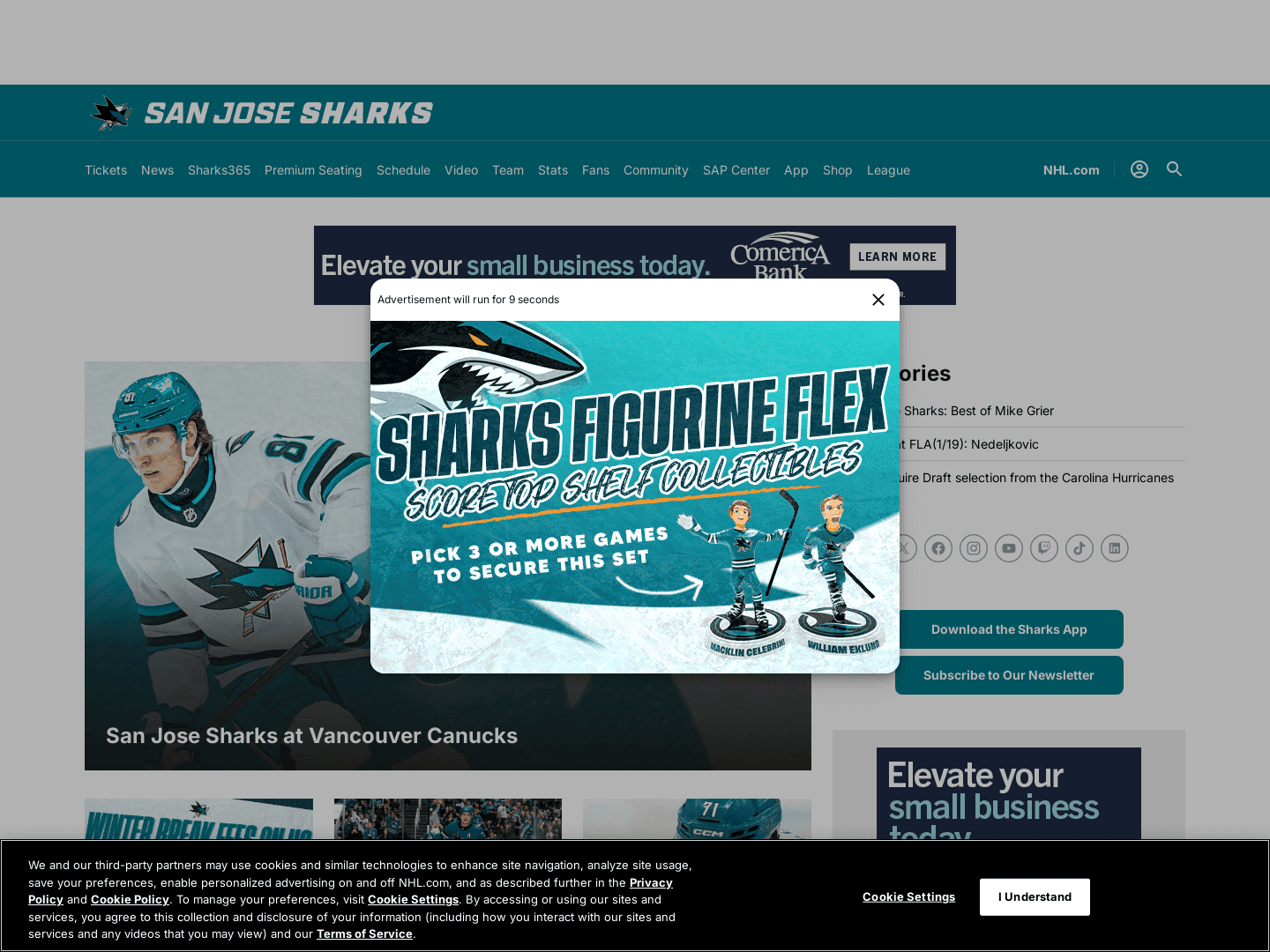 Sharks & Partners