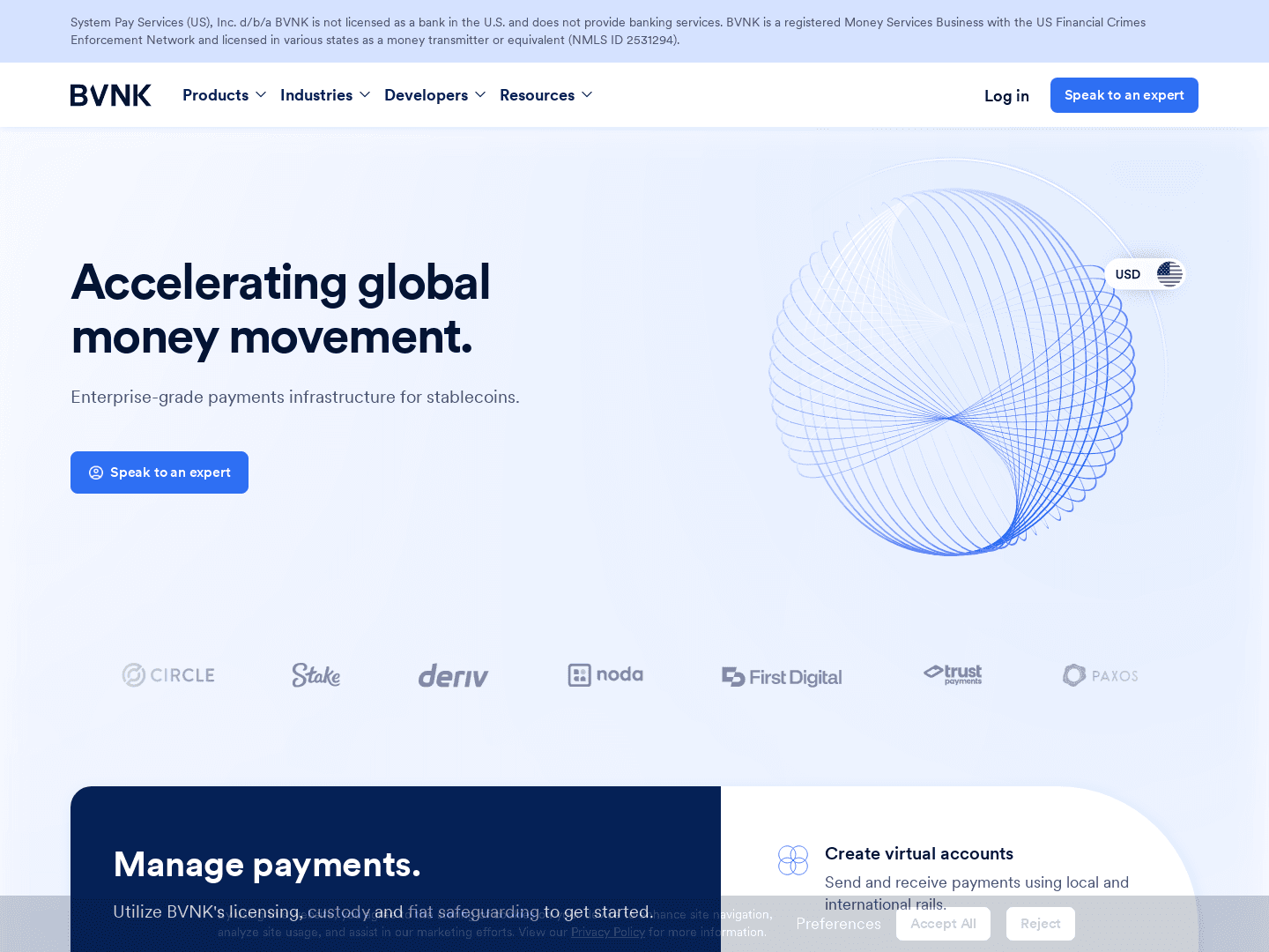 "BVNK Secures Visa Investment to Expand Payment Solutions"