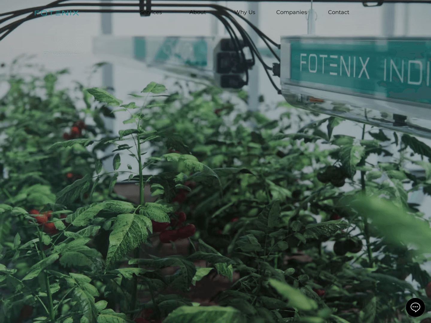 "Fotenix Secures £2.1M to Transform Crop Diagnostics"