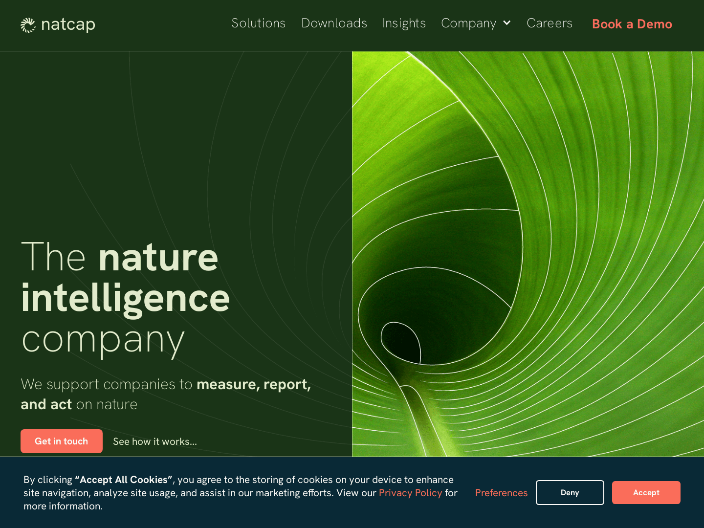 Natcap Secures $10M Series A Funding for Growth